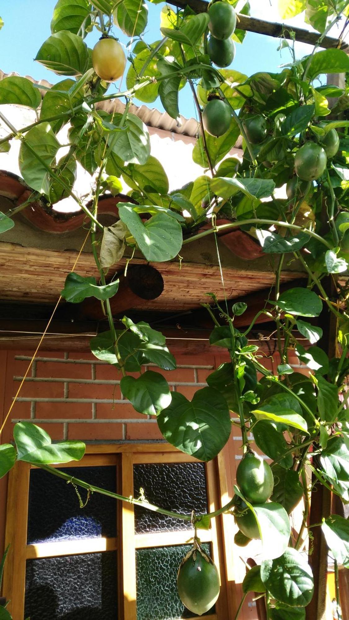 Hotel Kantarrana Urbana Jardín Zewnętrze zdjęcie